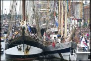 Sail Amsterdam    vvbvanbree2083